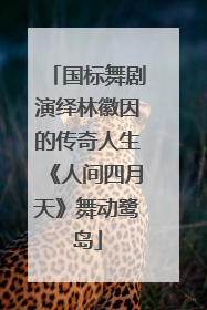 国标舞剧演绎林徽因的传奇人生《人间四月天》舞动鹭岛