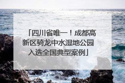 四川省唯一！成都高新区骑龙中水湿地公园入选全国典型案例