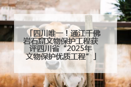 四川唯一！通江千佛岩石窟文物保护工程获评四川省“2025年文物保护优质工程”
