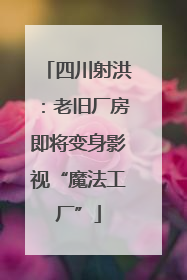 四川射洪：老旧厂房即将变身影视“魔法工厂”