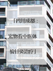 四川成都：宠物看中医体验针灸治疗
