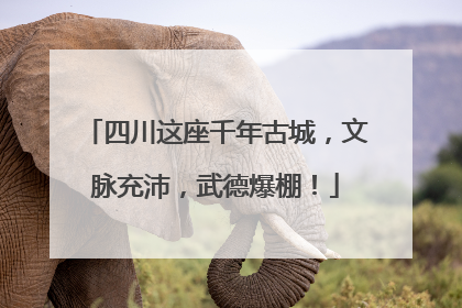 四川这座千年古城，文脉充沛，武德爆棚！