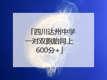 四川达州中学一对双胞胎同上600分+