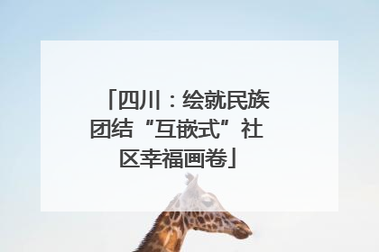 四川：绘就民族团结“互嵌式”社区幸福画卷