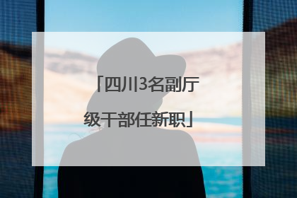 四川3名副厅级干部任新职