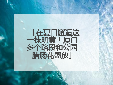 在夏日邂逅这一抹明黄！厦门多个路段和公园腊肠花盛放