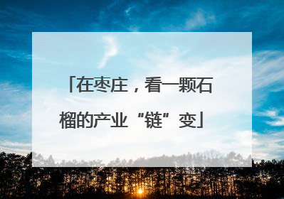 在枣庄，看一颗石榴的产业“链”变