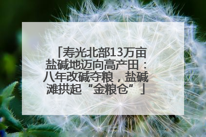 寿光北部13万亩盐碱地迈向高产田：八年改碱夺粮，盐碱滩拱起“金粮仓”