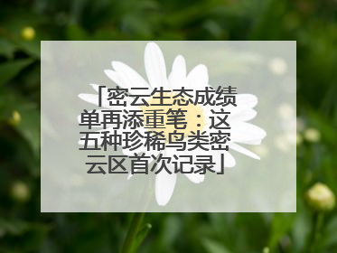 密云生态成绩单再添重笔：这五种珍稀鸟类密云区首次记录