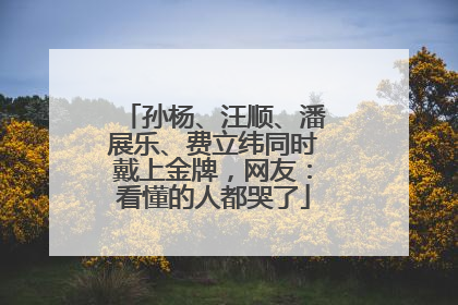 孙杨、汪顺、潘展乐、费立纬同时戴上金牌，网友：看懂的人都哭了