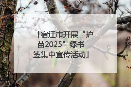 宿迁市开展“护苗2025”绿书签集中宣传活动