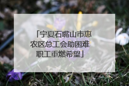 宁夏石嘴山市惠农区总工会助困难职工重燃希望