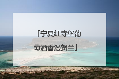宁夏红寺堡葡萄酒香漫贺兰