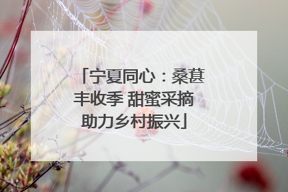 宁夏同心：桑葚丰收季 甜蜜采摘助力乡村振兴