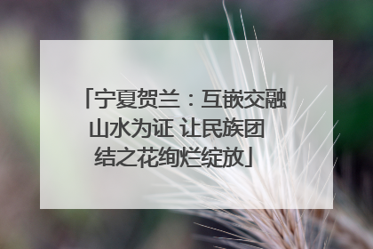 宁夏贺兰：互嵌交融 山水为证 让民族团结之花绚烂绽放
