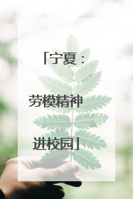 宁夏：劳模精神进校园