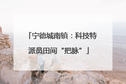 宁德城南镇：科技特派员田间“把脉”