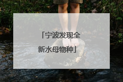 宁波发现全新水母物种