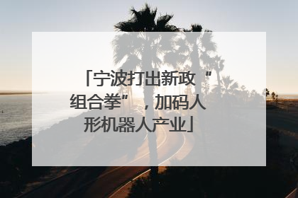 宁波打出新政“组合拳”，加码人形机器人产业