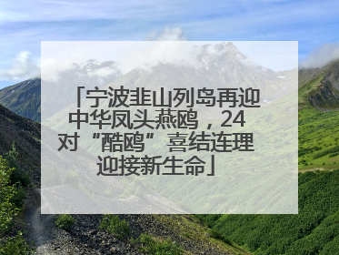 宁波韭山列岛再迎中华凤头燕鸥，24对“酷鸥”喜结连理迎接新生命