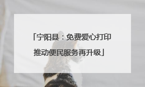 宁阳县：免费爱心打印 推动便民服务再升级
