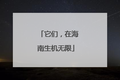 它们，在海南生机无限