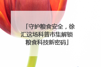 守护粮食安全，徐汇这场科普市集解锁粮食科技新密码