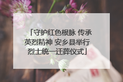 守护红色根脉 传承英烈精神 安乡县举行烈士统一迁葬仪式