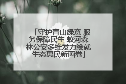 守护青山绿意 服务保障民生 蛟河森林公安多维发力绘就生态惠民新画卷