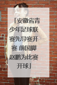 安徽省青少年足球联赛先导赛开赛 前国脚赵鹏为比赛开球