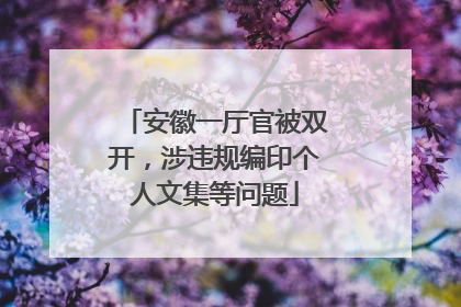 安徽一厅官被双开，涉违规编印个人文集等问题