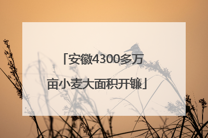 安徽4300多万亩小麦大面积开镰