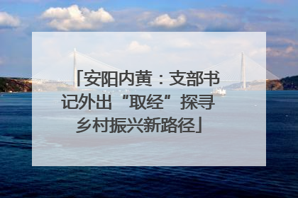 安阳内黄：支部书记外出“取经”探寻乡村振兴新路径