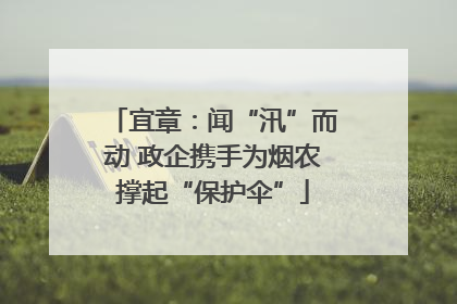 宜章：闻“汛”而动 政企携手为烟农撑起“保护伞”