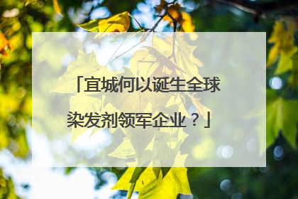 宜城何以诞生全球染发剂领军企业？