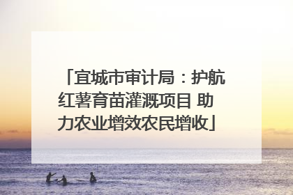 宜城市审计局：护航红薯育苗灌溉项目 助力农业增效农民增收