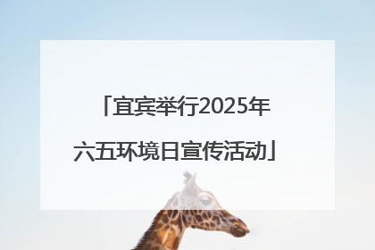 宜宾举行2025年六五环境日宣传活动