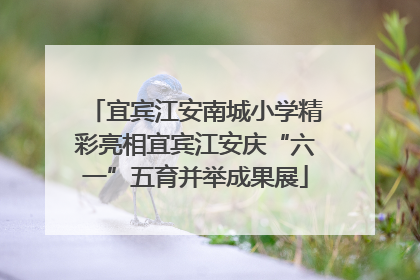 宜宾江安南城小学精彩亮相宜宾江安庆“六一”五育并举成果展