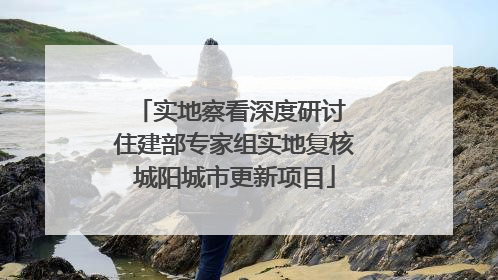 实地察看深度研讨 住建部专家组实地复核城阳城市更新项目