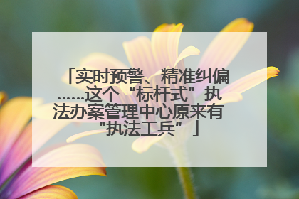 实时预警、精准纠偏……这个“标杆式”执法办案管理中心原来有“执法工兵”