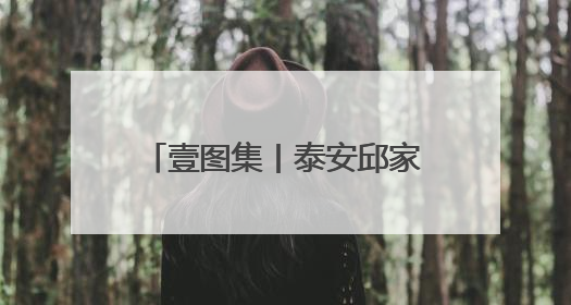 壹图集丨泰安邱家店镇收忙，收割机“穿梭”金色海洋