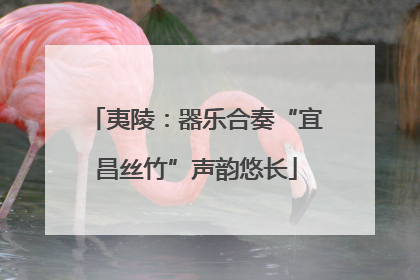 夷陵：器乐合奏“宜昌丝竹”声韵悠长