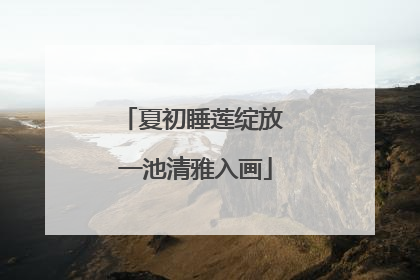 夏初睡莲绽放 一池清雅入画