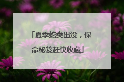 夏季蛇类出没，保命秘笈赶快收藏
