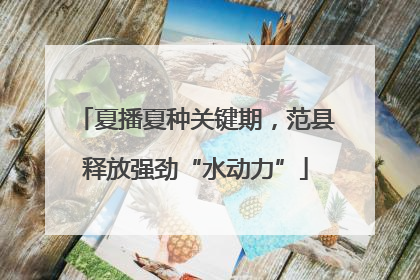 夏播夏种关键期，范县释放强劲“水动力”