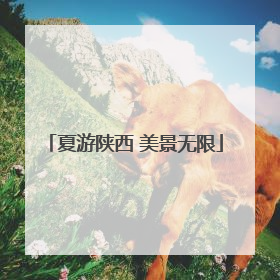 夏游陕西 美景无限