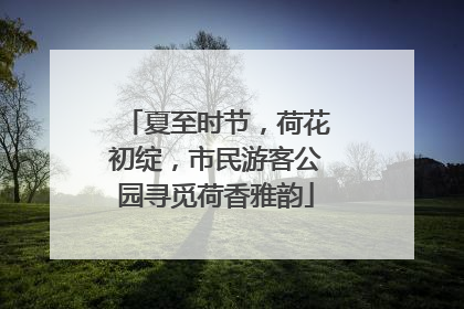 夏至时节，荷花初绽，市民游客公园寻觅荷香雅韵