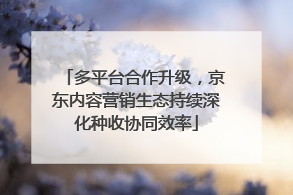 多平台合作升级，京东内容营销生态持续深化种收协同效率