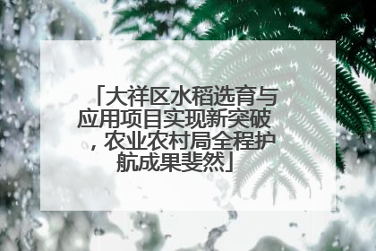 大祥区水稻选育与应用项目实现新突破，农业农村局全程护航成果斐然
