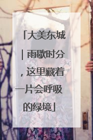 大美东城｜雨歇时分，这里藏着一片会呼吸的绿境
